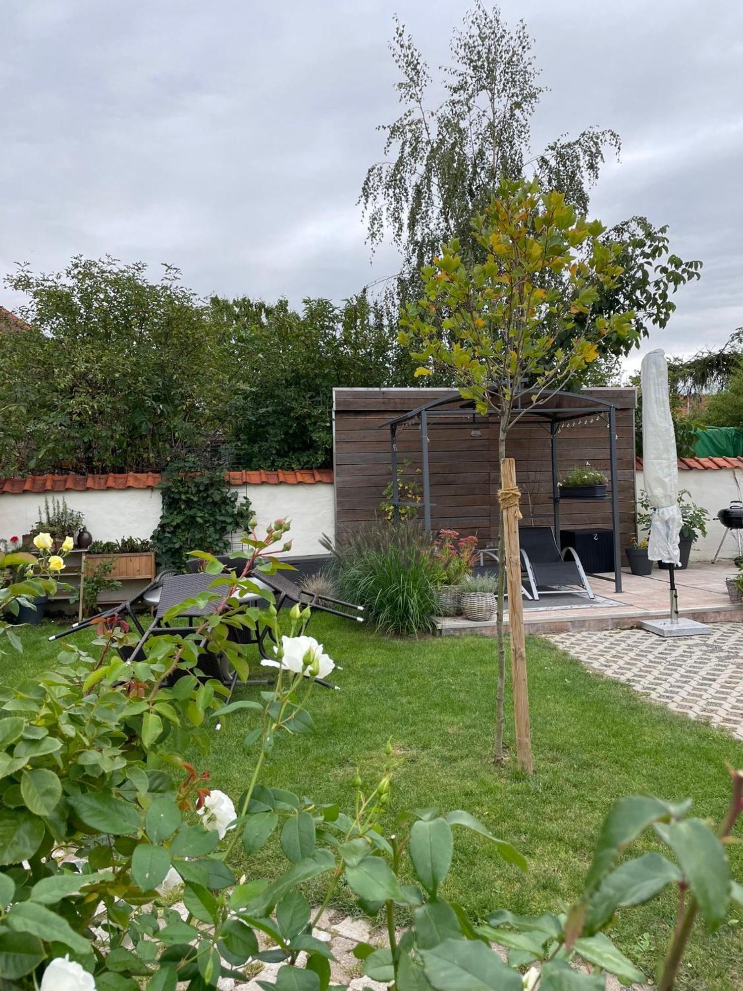 Gemuetliche Ferienwohnung Вернигероде Экстерьер фото